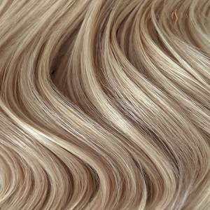 Virgin Russian Hair Wholesale Looking For Distributors Virgin Flat Weft Extensions Seamles- #51 Champagne Blonde