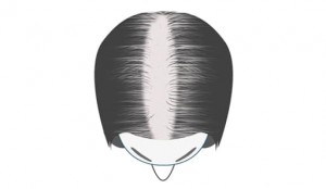 Garapen fasea